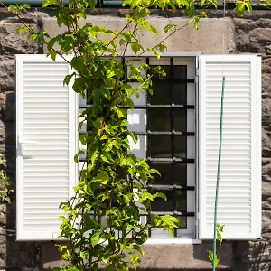 https://casa-amarela-camara-de-lobos.madeira-islandshotels.com